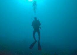 staying relevant in the future of work by reframing you blue ocean